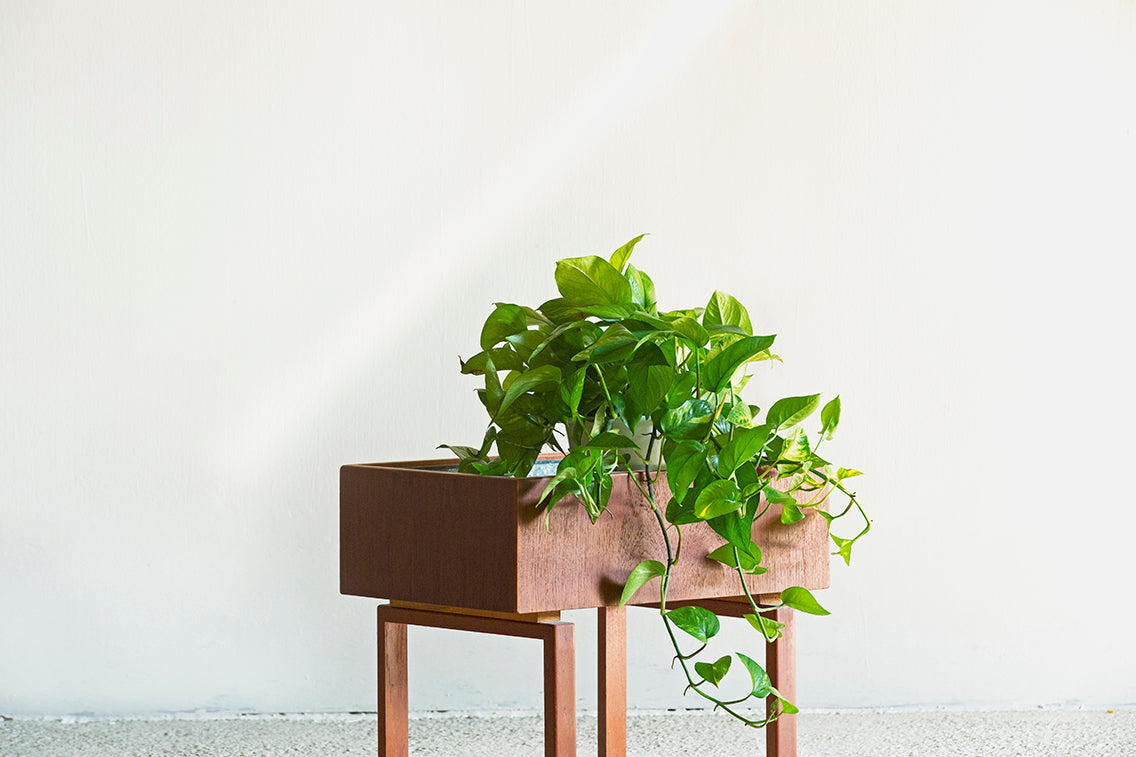 Kai Kristiansen | Plant Racks