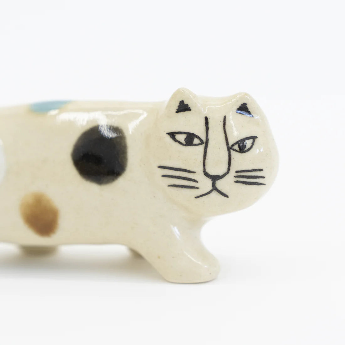 Lisa cat from Japan