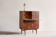 60's Vintage Rosewood  Cabinet