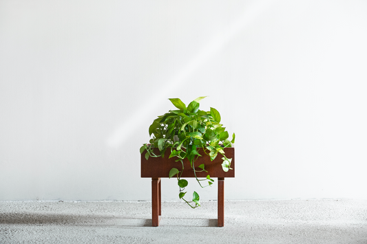 Kai Kristiansen | Plant Racks